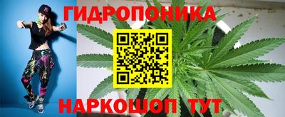 бошки Заводоуковск